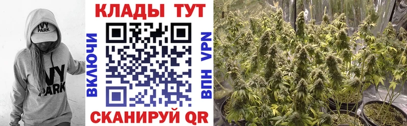 Виды наркоты Туапсе Cocaine  Метамфетамин  МАРИХУАНА  Меф мяу мяу 