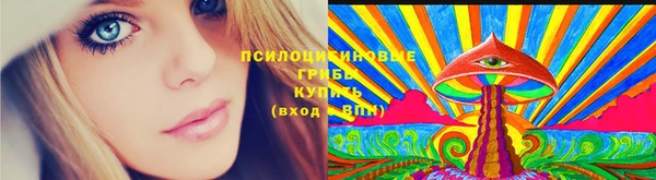 винт Медвежьегорск