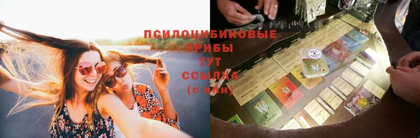 винт Медвежьегорск