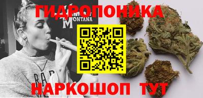 индика Конаково