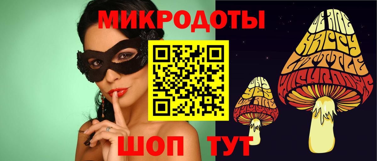 Галлюциногенные грибы Psilocybine cubensis Туапсе